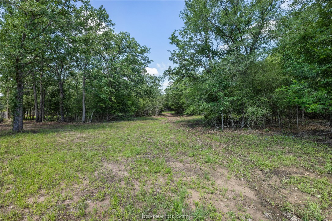 7132 Serenity Ranch Road Somerville, TX 77879 - Photo 14 of 27