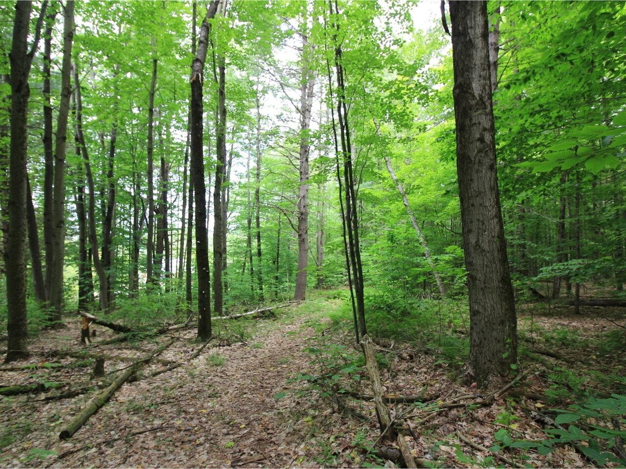 Lot 4 Piney Grove Lane Underhill, VT 05489 - Photo 11 of 14