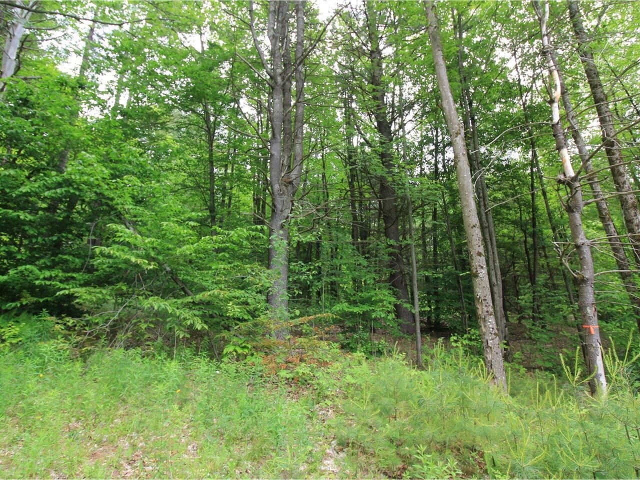 Lot 4 Piney Grove Lane Underhill, VT 05489 - Photo 12 of 14
