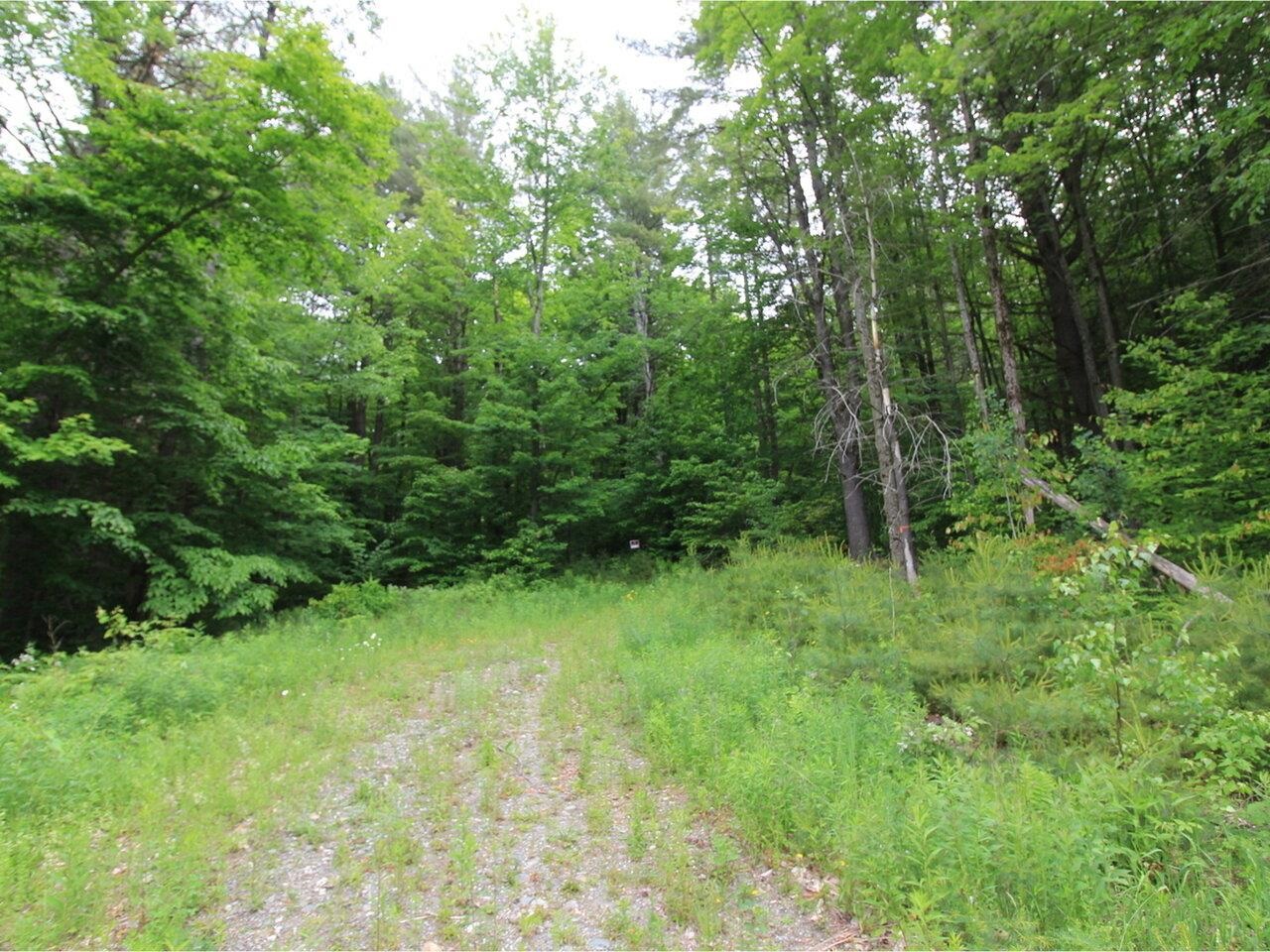 Lot 4 Piney Grove Lane Underhill, VT 05489 - Photo 7 of 14