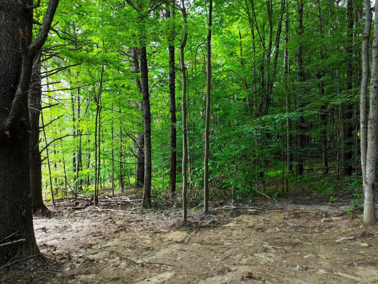 Lot 4 Piney Grove Lane Underhill, VT 05489 - Photo 8 of 14