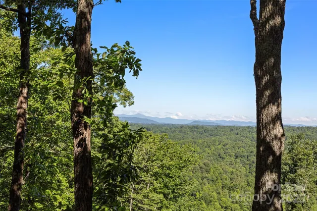 a view of a garden with a tree