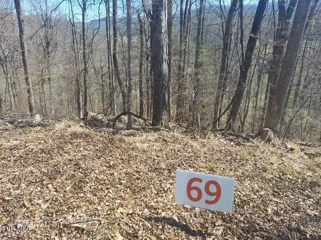 $39,900 | 69 Golf Course Road, Unit 69, Unicoi, TN 37692