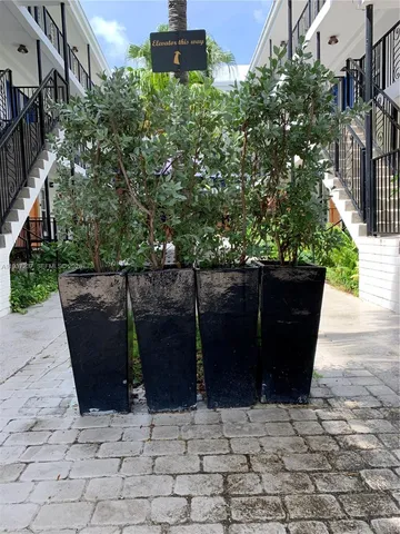 a view of backyard with seating space