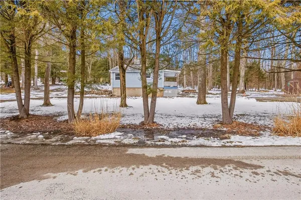a view of yard with a house in the background