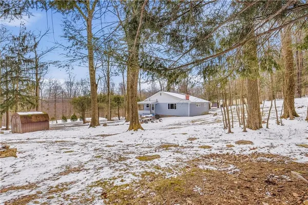 a large tree in front of a house