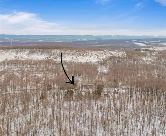 a view of wooden floor