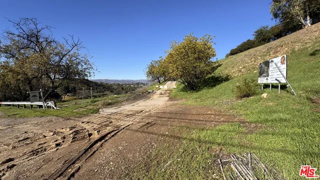 a view of a yard with an trees