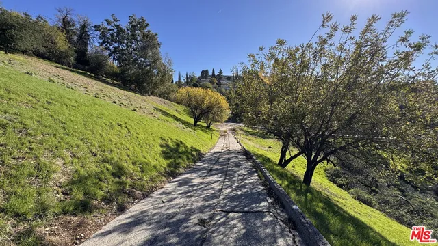 a view of a yard with plants