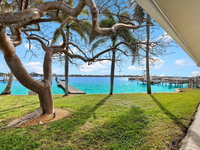 a view of a yard with a slide