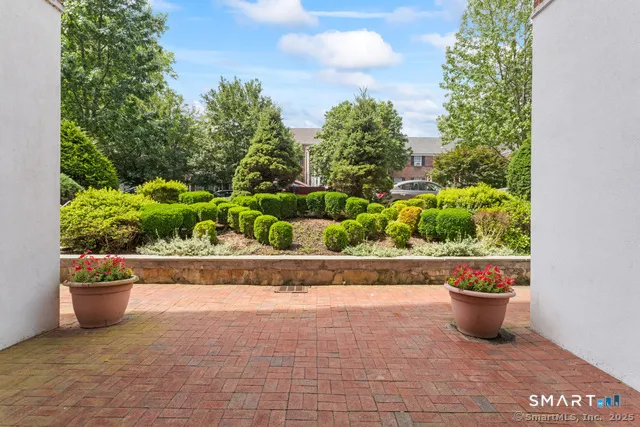 a view of a garden with a bench and some potted plants