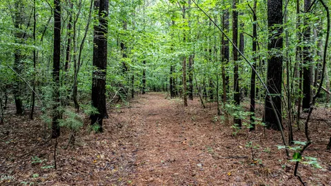 a view of outdoor space and trees