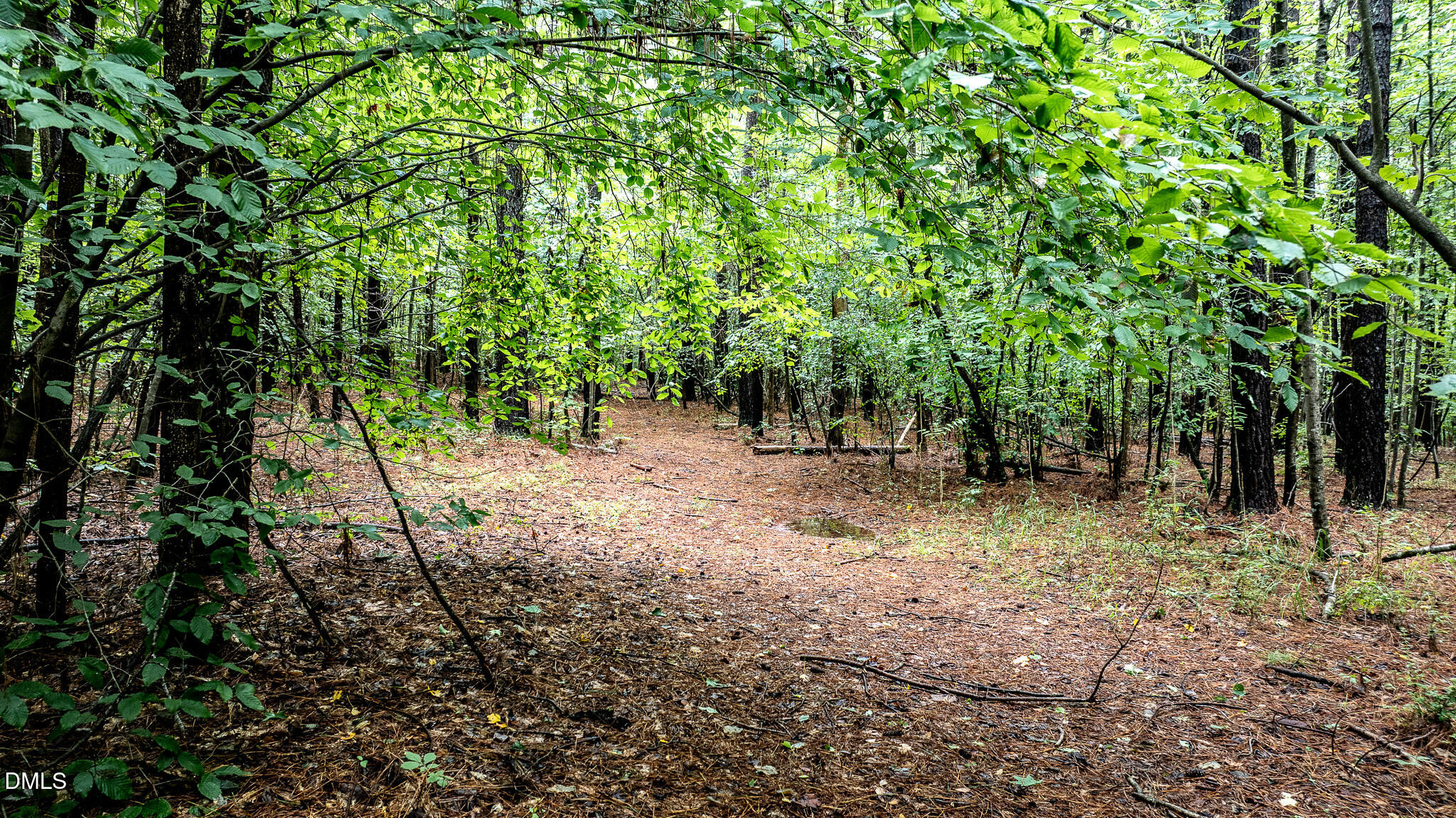0 Teer Road Chapel Hill, NC 27516 - Photo 12 of 40 a view of outdoor space and trees