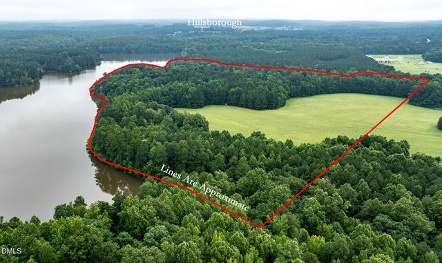 a view of a garden with a flower garden