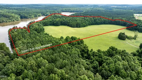 a view of a forest with trees in the background