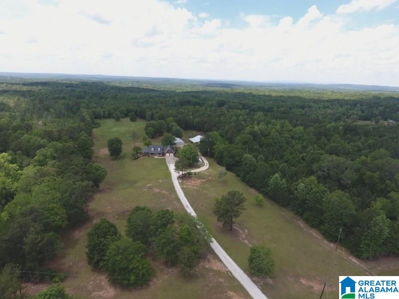 4747 County Road 33 Wadley, AL 36276 - Photo 2 of 36