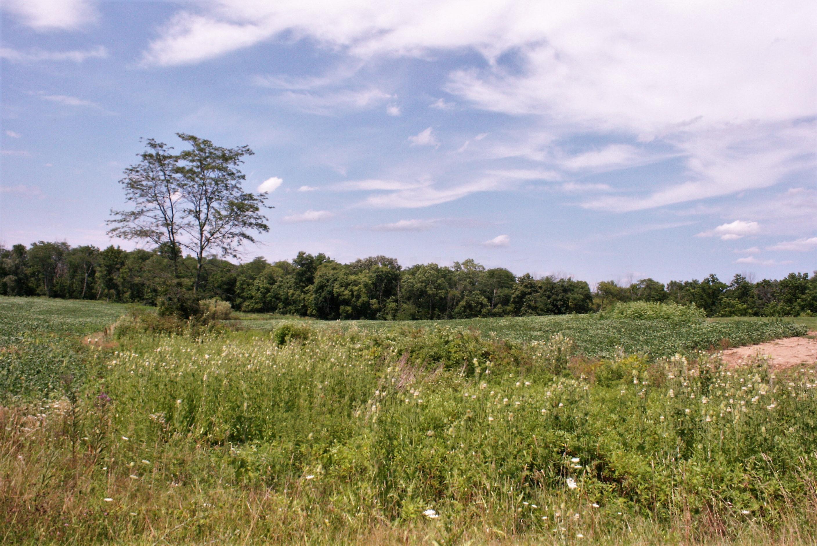 0 Black Road Marysville, OH 43040 - Photo 2 of 6