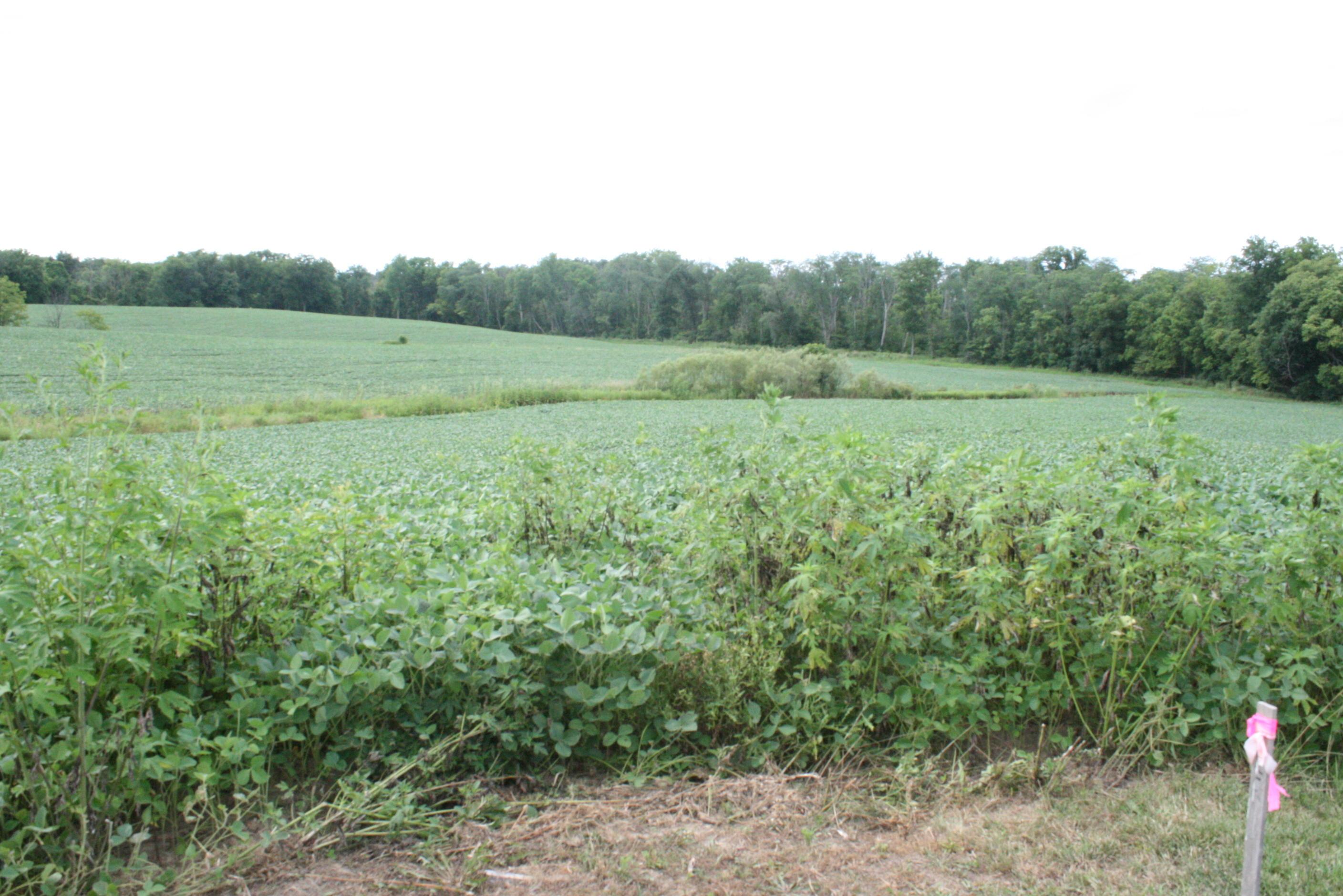 0 Black Road Marysville, OH 43040 - Photo 3 of 6