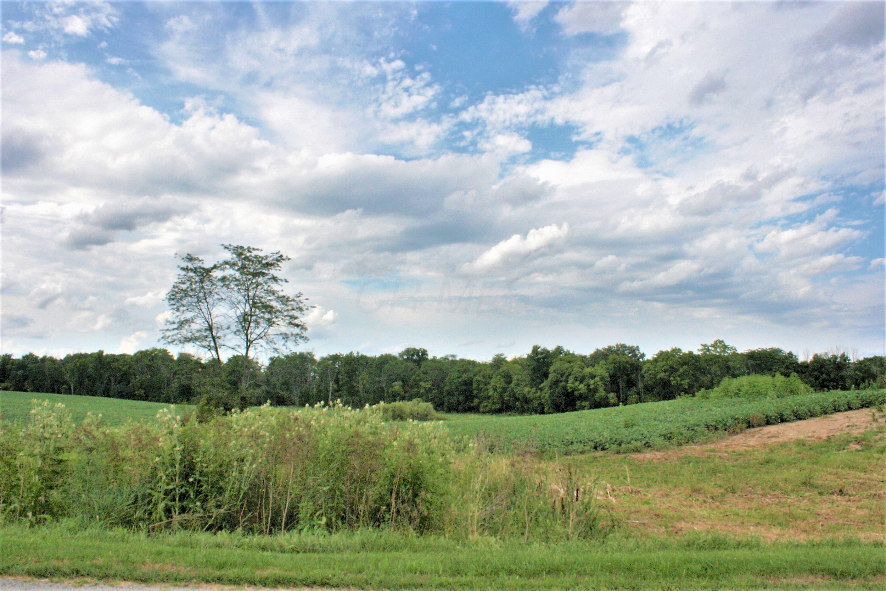 0 Black Road Marysville, OH 43040 - Photo 4 of 6