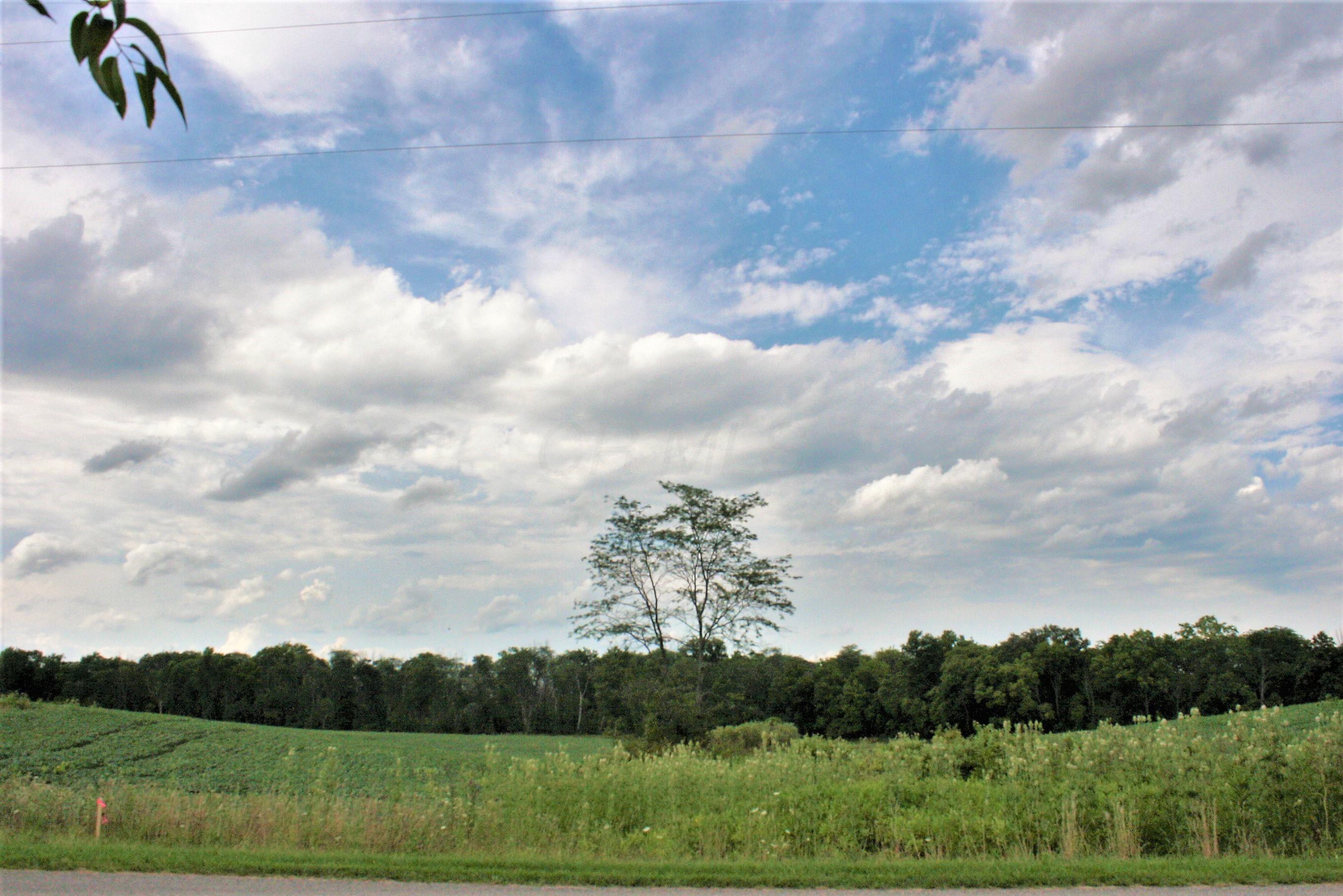 0 Black Road Marysville, OH 43040 - Photo 5 of 6