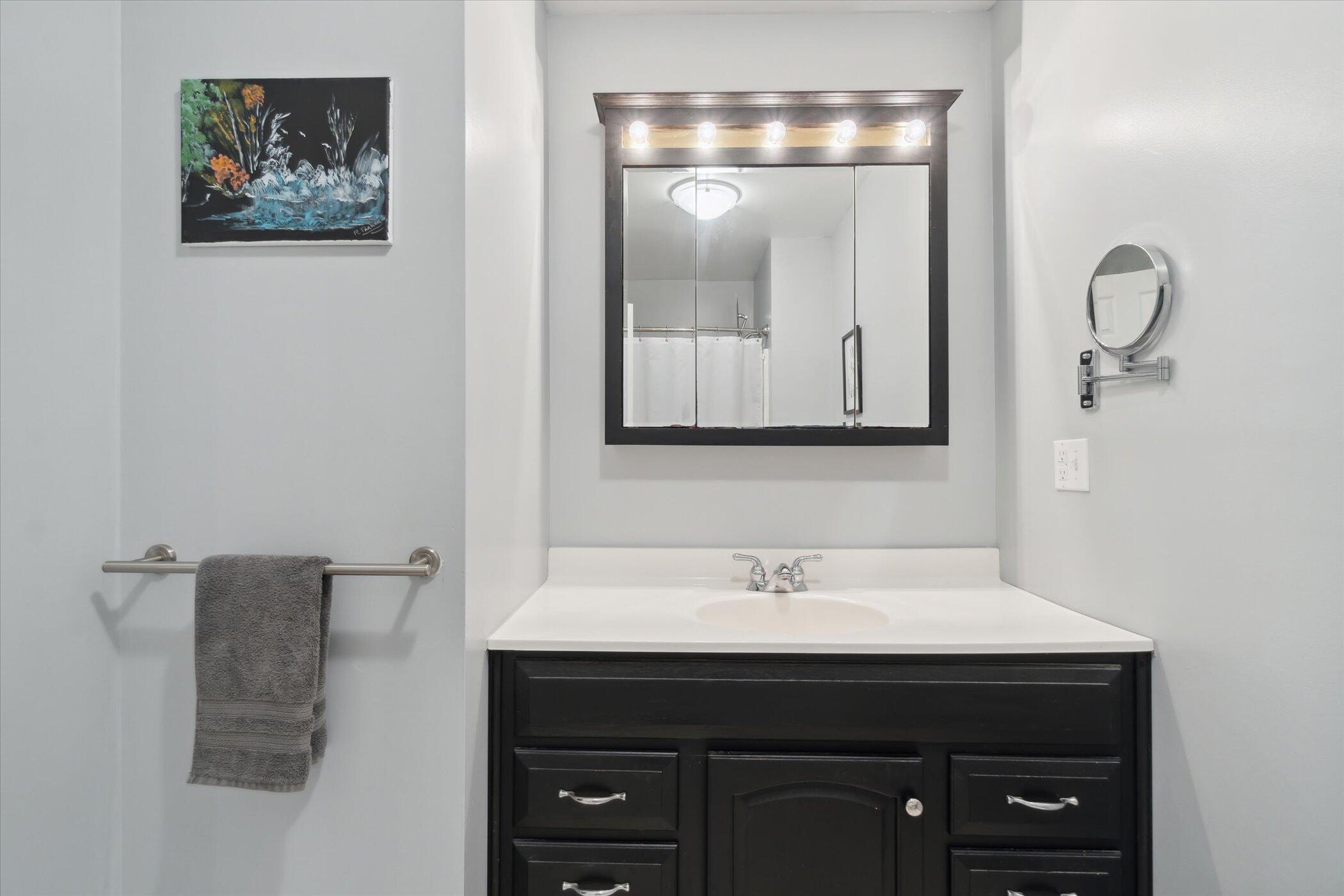 1015 East Berry Road Jackson, MI 49201 - Photo 24 of 46 Modern Full Bath