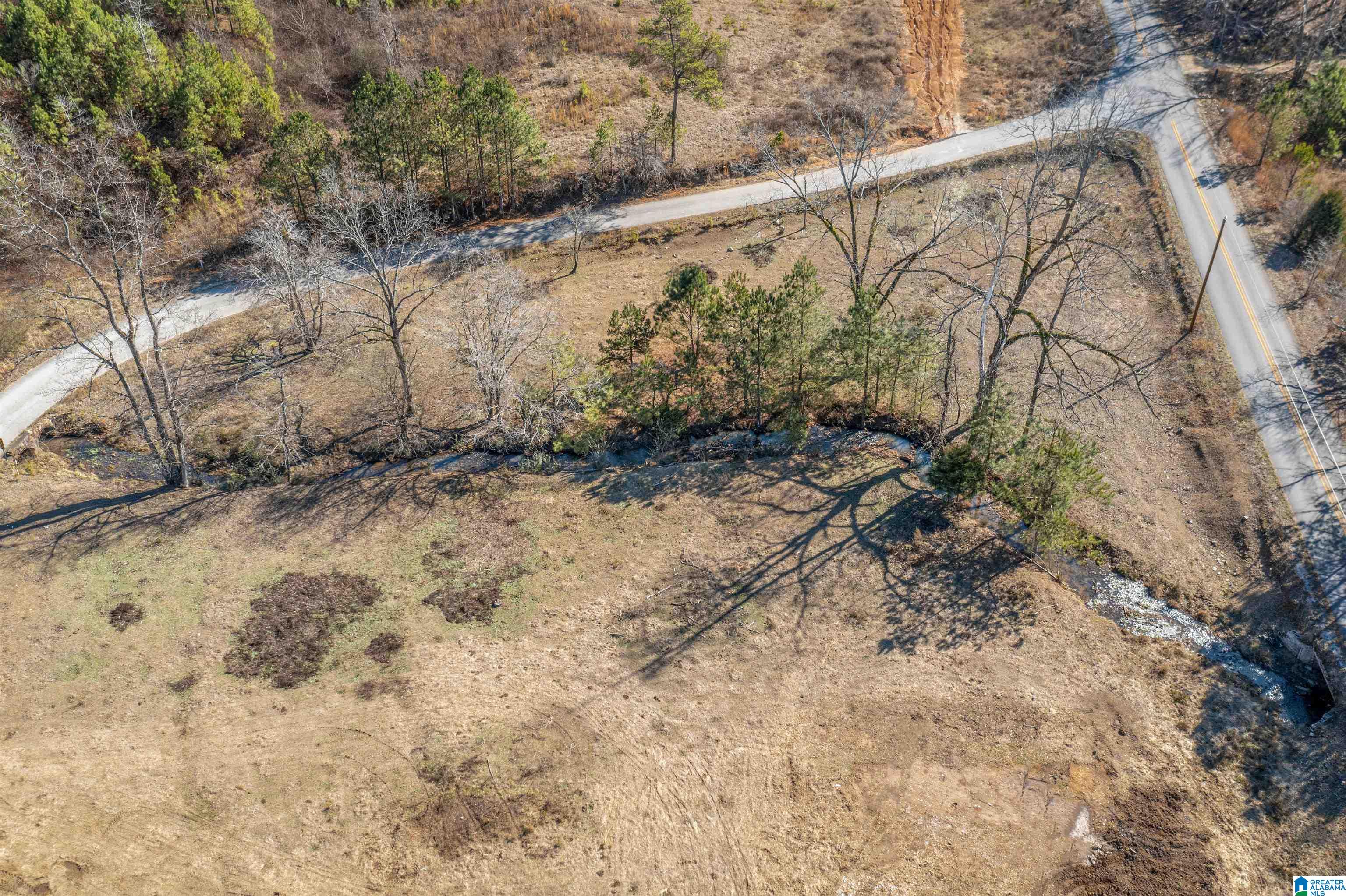 9870 New Liberty Road Piedmont, AL 36272 - Photo 7 of 29