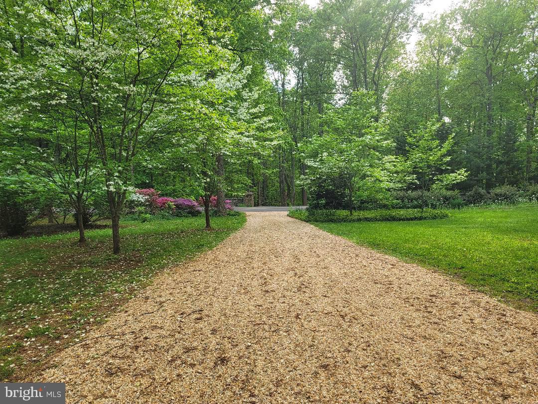 8415 Lees Ridge Road Warrenton, VA 20186 - Photo 4 of 81 So nice!