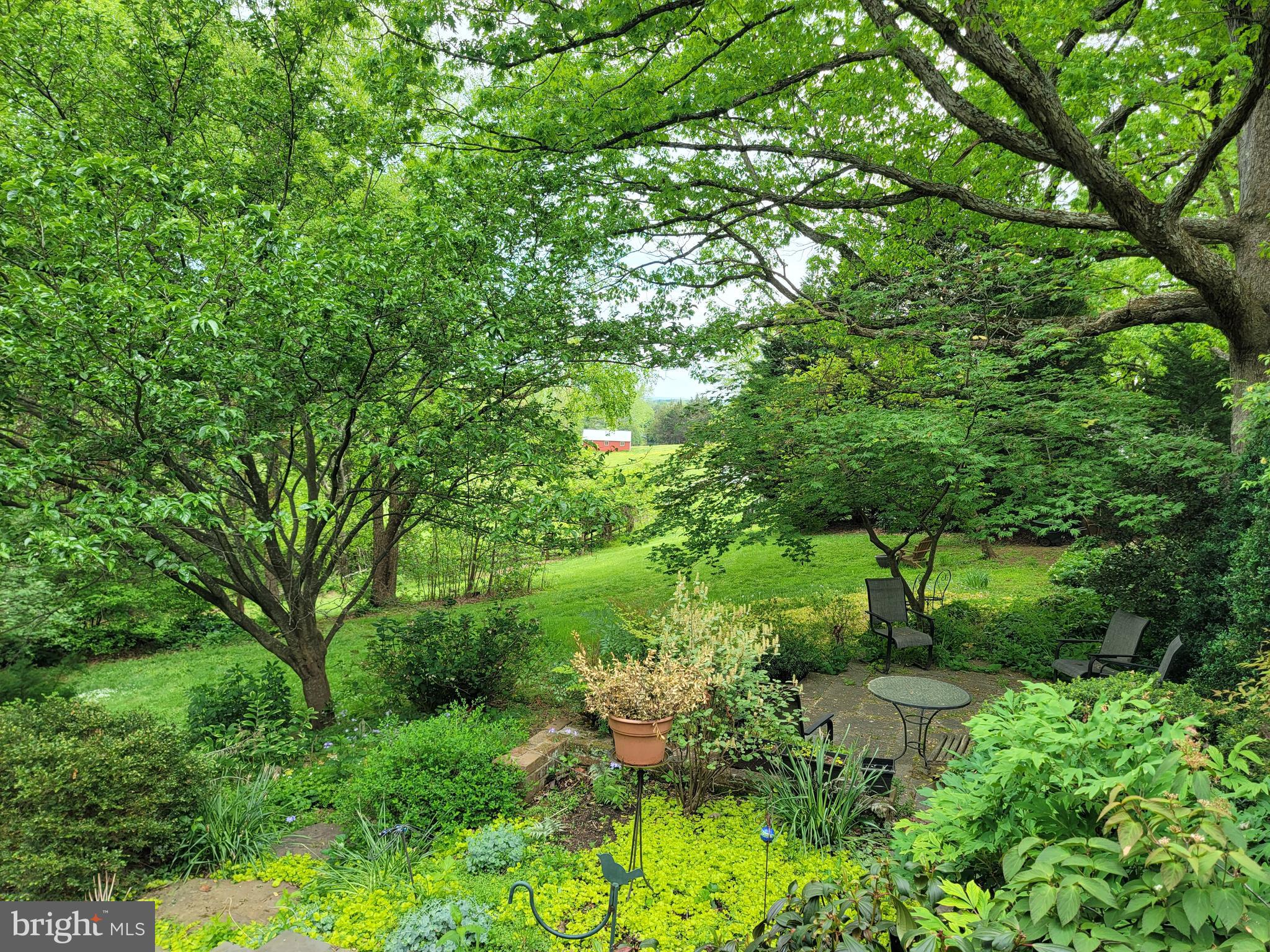 8415 Lees Ridge Road Warrenton, VA 20186 - Photo 54 of 81 3 beautiful acres spring!