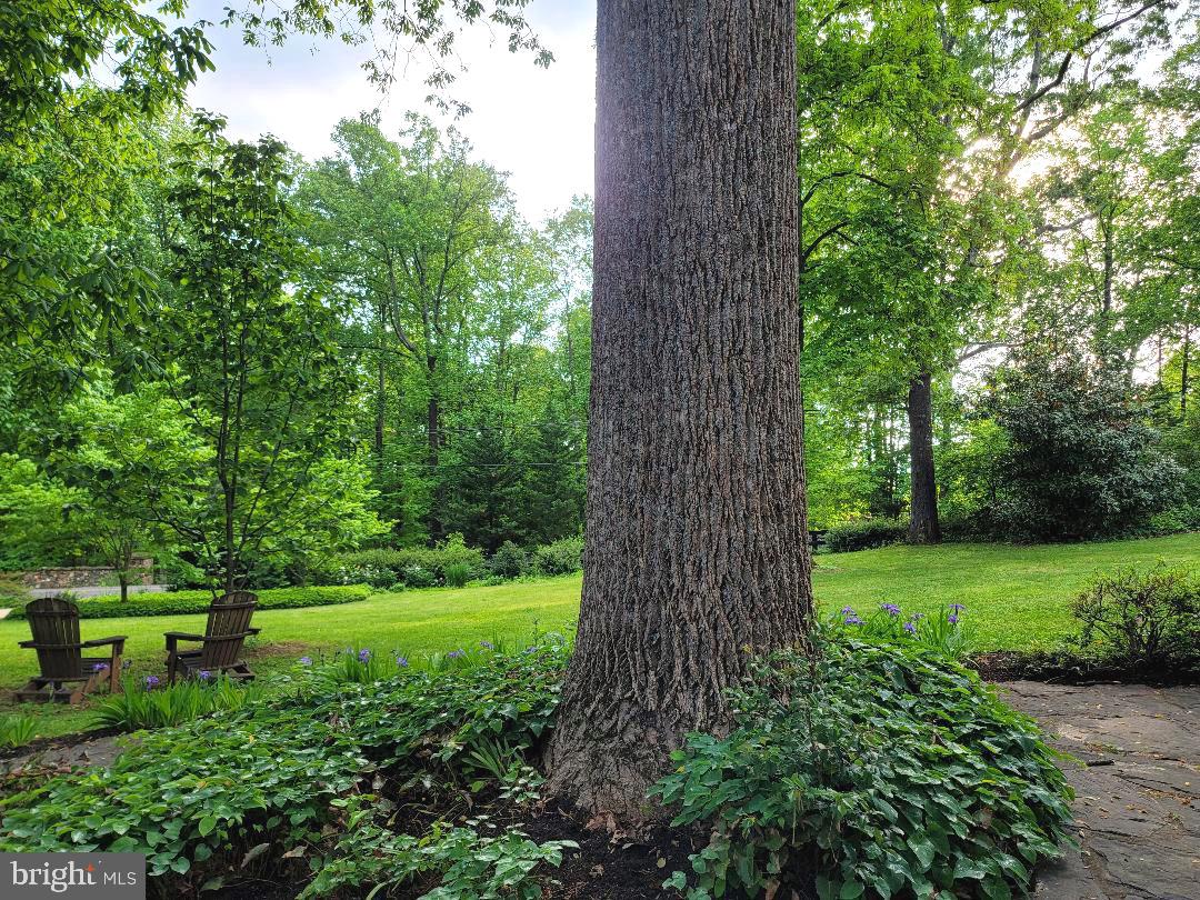 8415 Lees Ridge Road Warrenton, VA 20186 - Photo 6 of 81 majestic gardens!