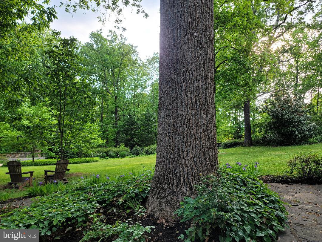 8415 Lees Ridge Road Warrenton, VA 20186 - Photo 74 of 81 Gallery Image 74