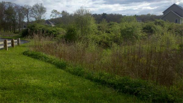 Lot 6 Kyle Jacob Road Westport, MA 02790 - Photo 1 of 4 Gallery Image 1
