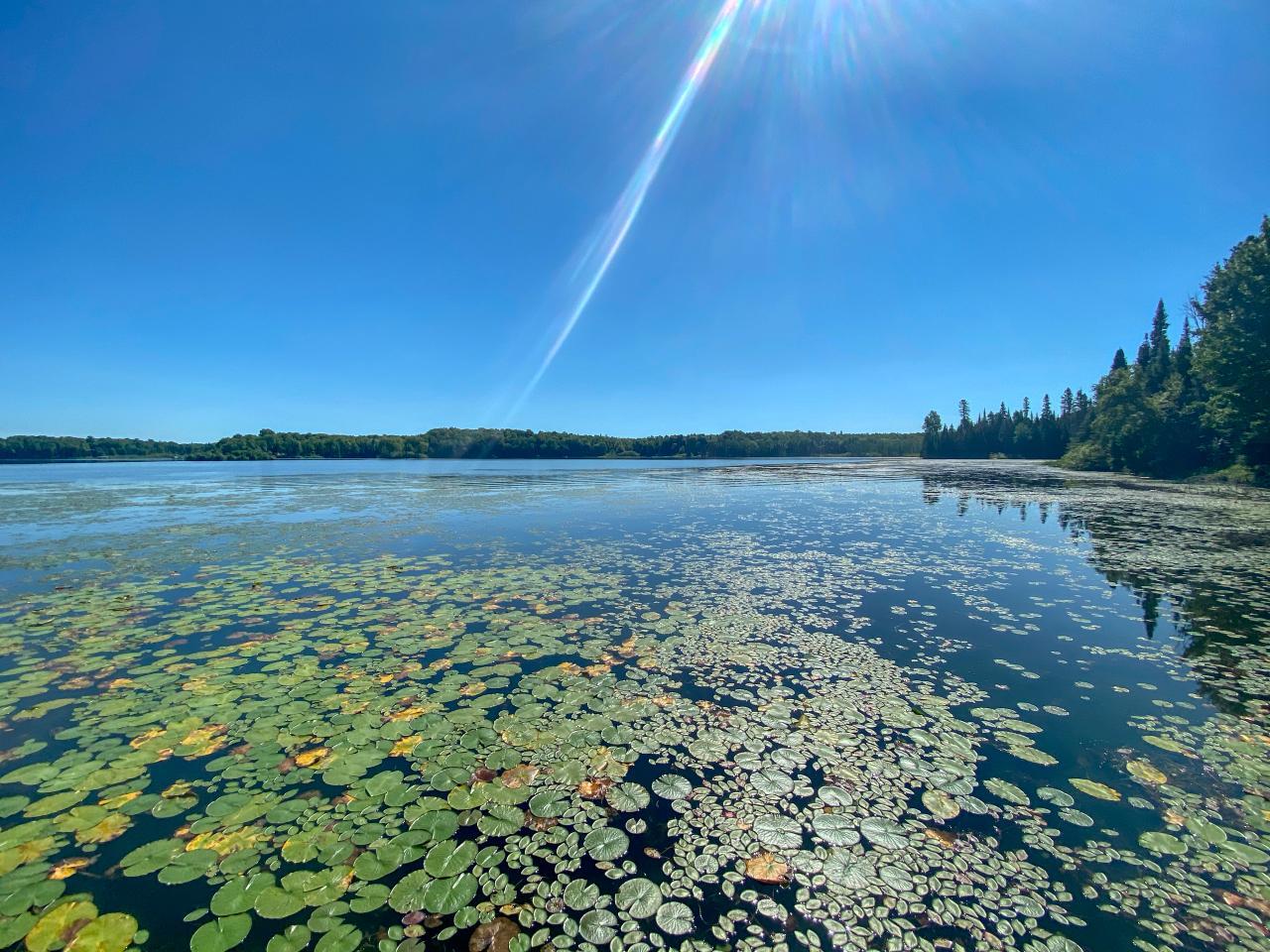 Lot # Frontier Road Presque Isle, WI 54557 - Photo 1 of 3 Gallery Image 1