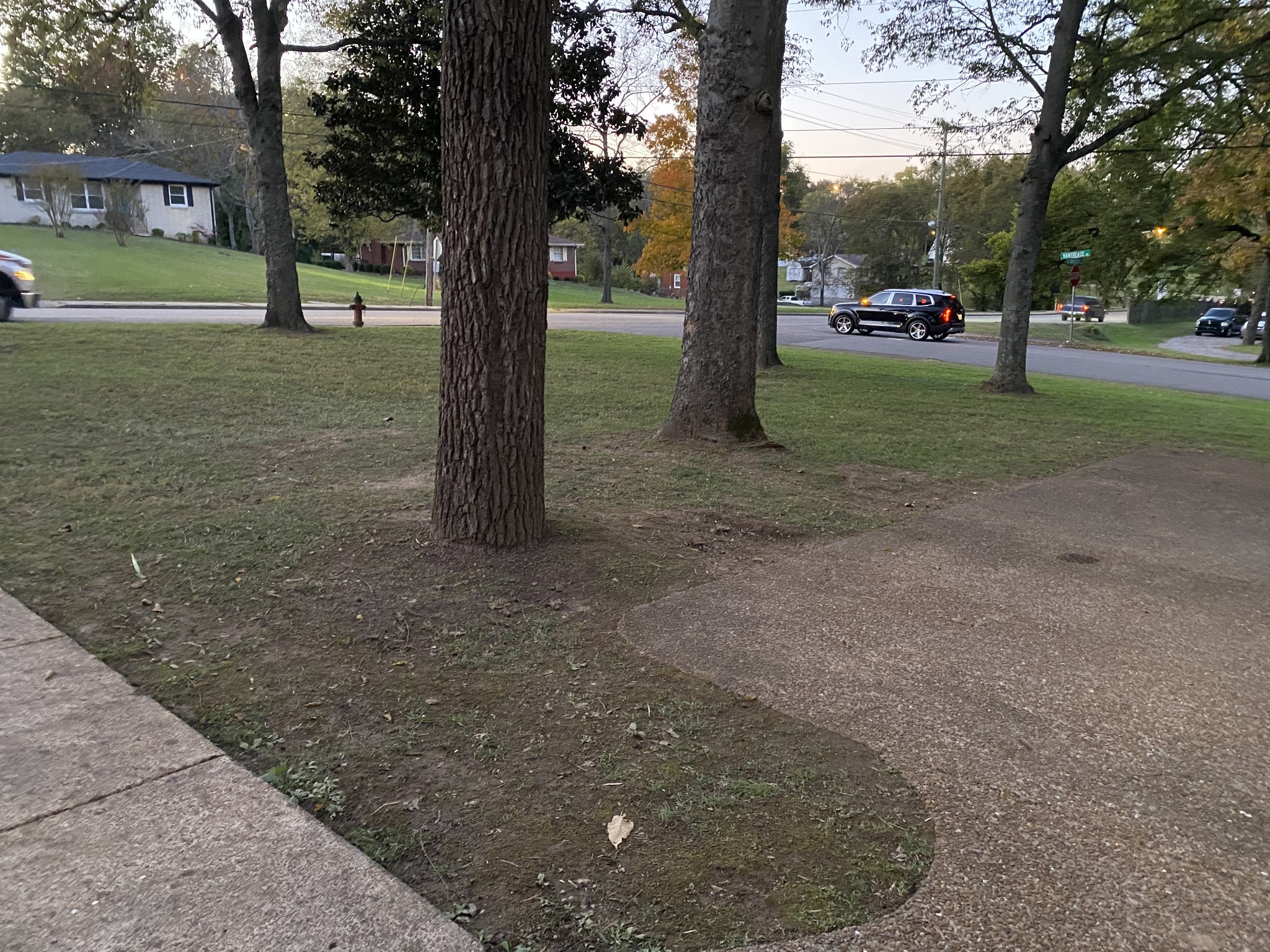 500 Vantrease Road Madison, TN 37115 - Photo 30 of 45 a view of yard with tree