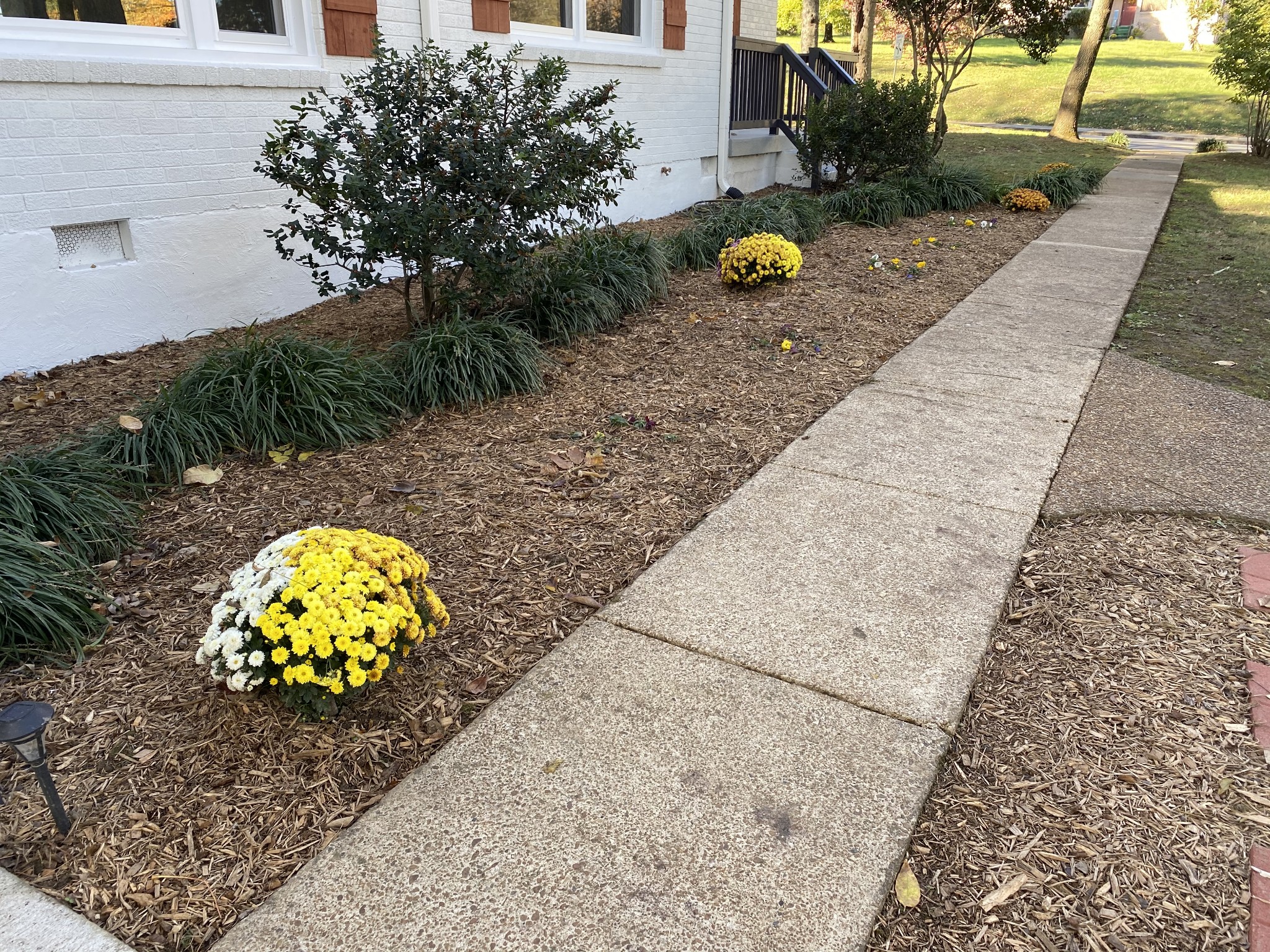 500 Vantrease Road Madison, TN 37115 - Photo 35 of 45 a view of outdoor space with garden and entertaining space