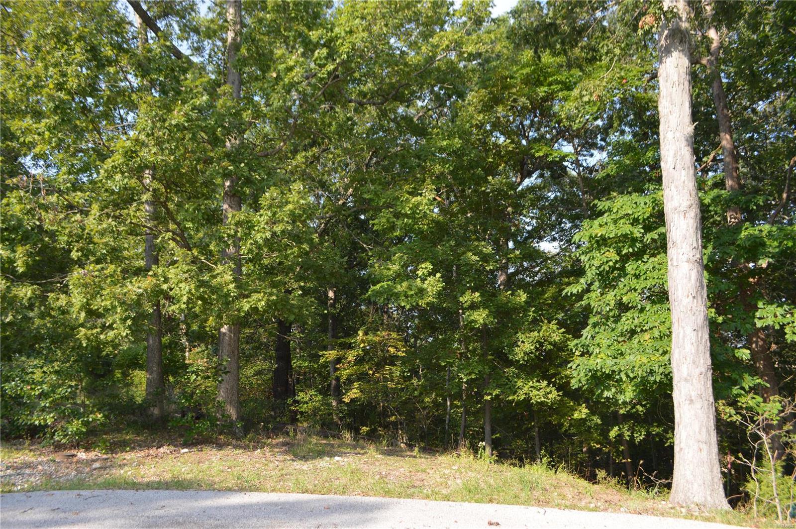 731 Timber Ridge Acre Drive High Ridge, MO 63049 - Photo 6 of 9