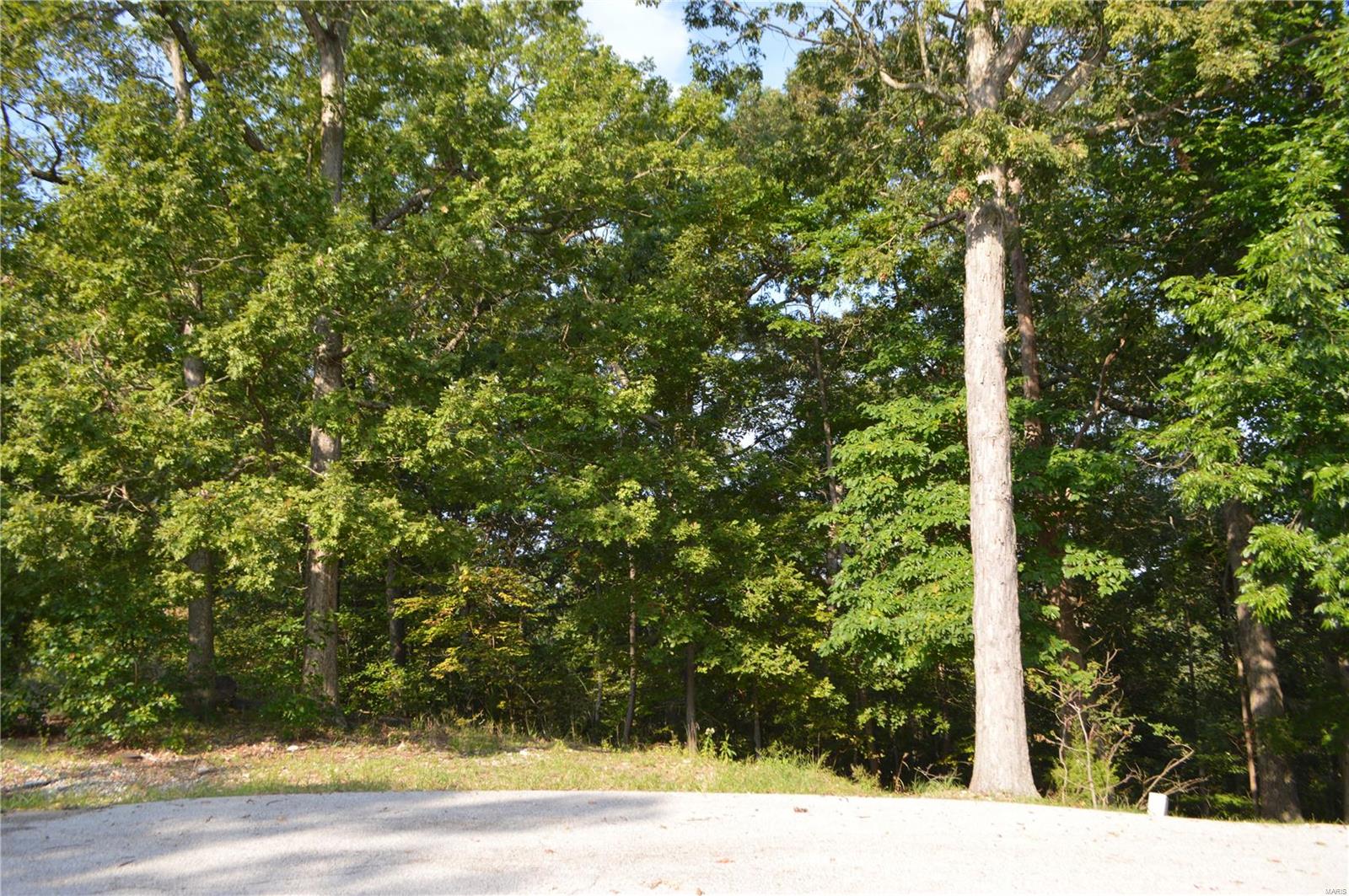 731 Timber Ridge Acre Drive High Ridge, MO 63049 - Photo 7 of 9