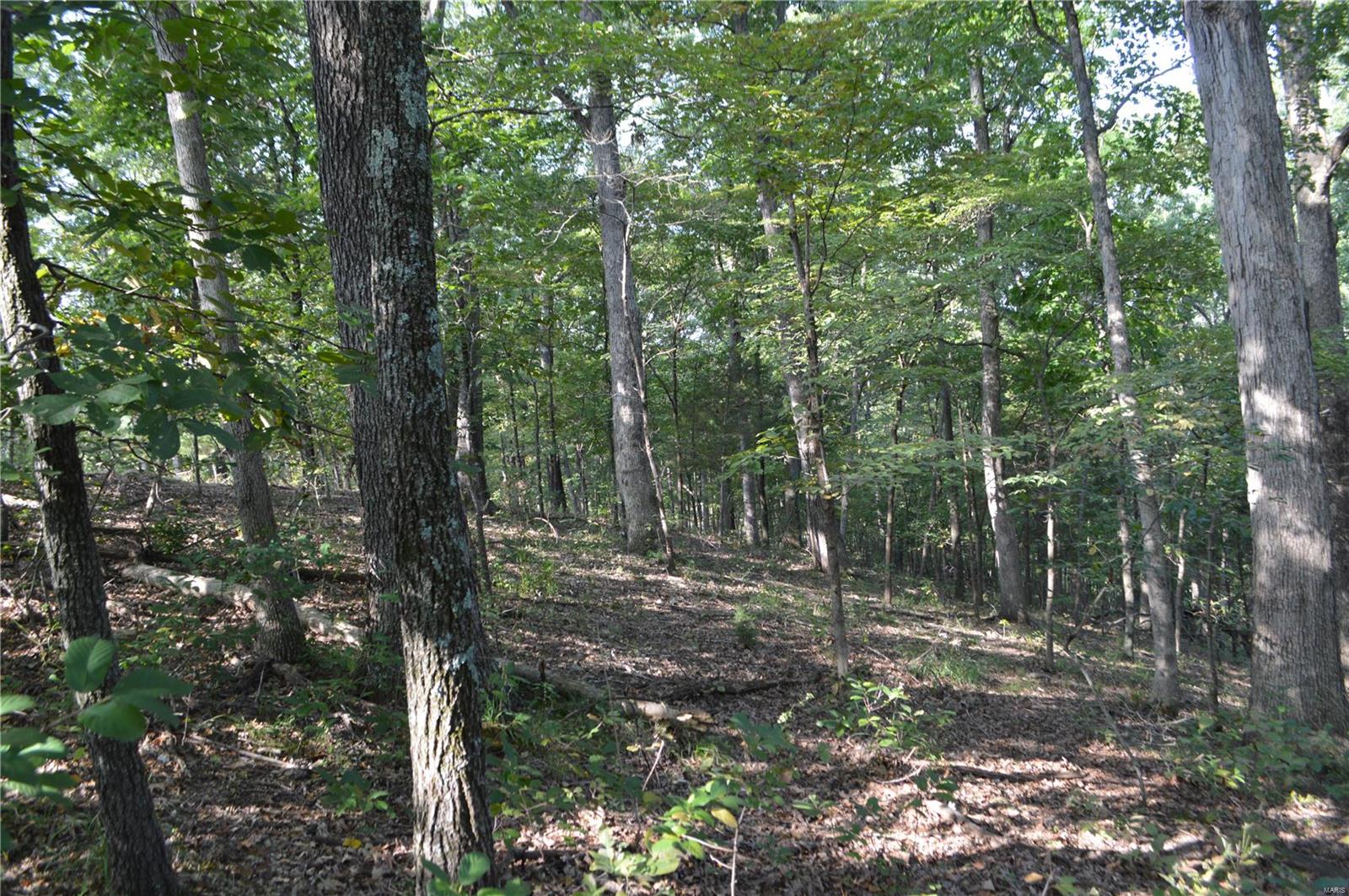 731 Timber Ridge Acre Drive High Ridge, MO 63049 - Photo 8 of 9