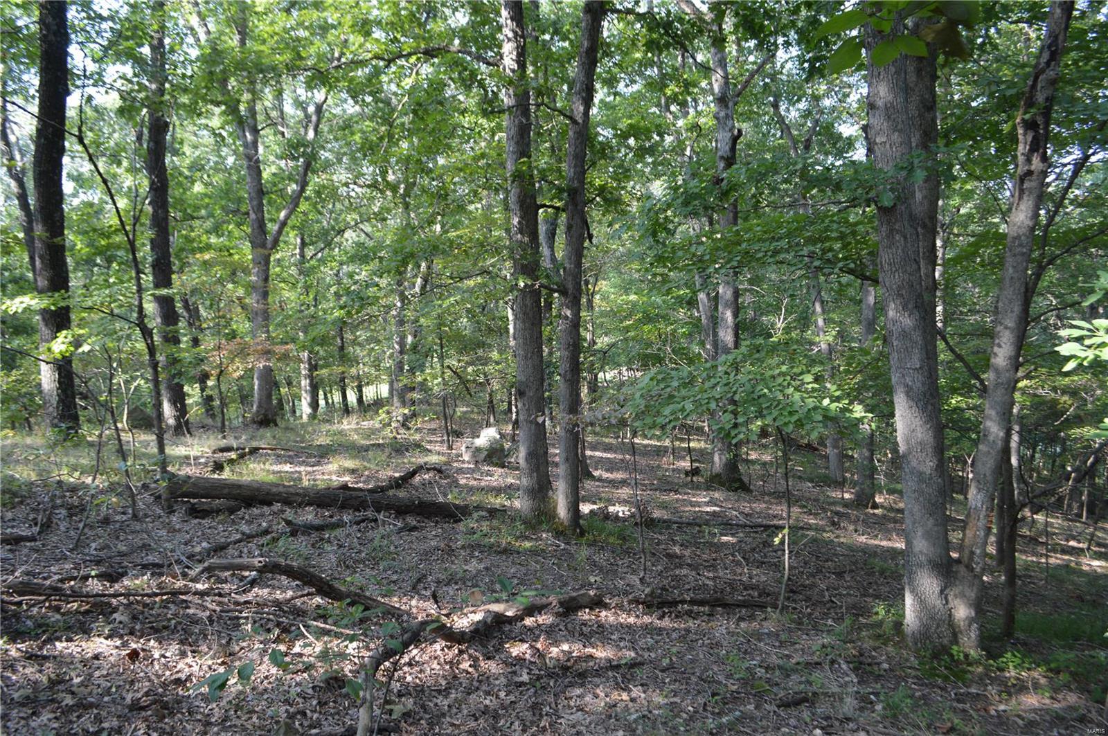 731 Timber Ridge Acre Drive High Ridge, MO 63049 - Photo 9 of 9