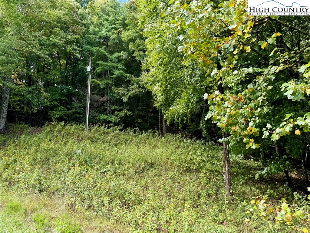 Wildcat Road Deep Gap, NC 28618 - Photo 2 of 7