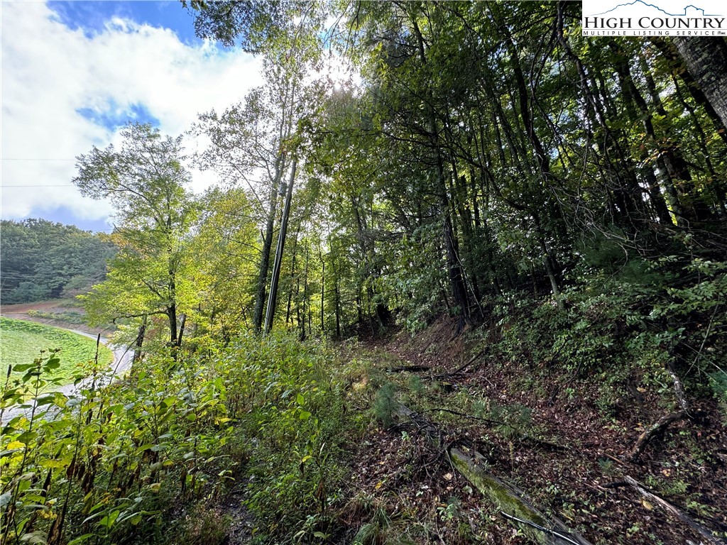 Wildcat Road Deep Gap, NC 28618 - Photo 4 of 7