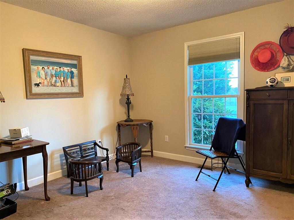 33641 Spring Hill Drive Glade Spring, VA 24340 - Photo 27 of 47 spring h30