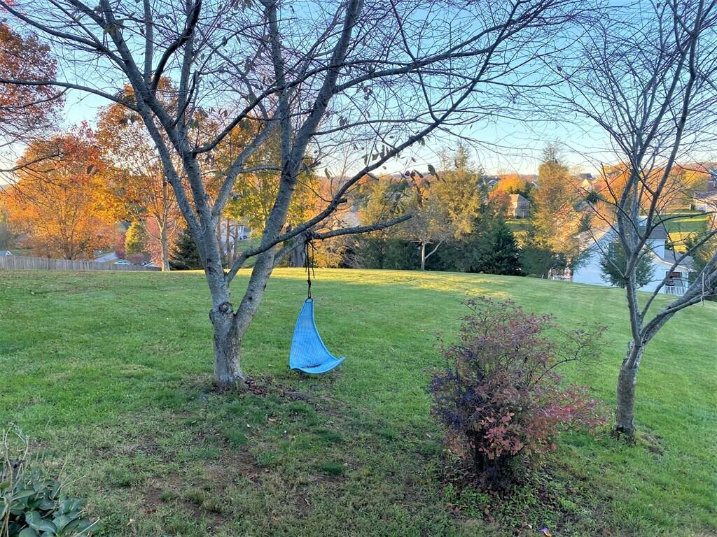 33641 Spring Hill Drive Glade Spring, VA 24340 - Photo 37 of 47 spring h40