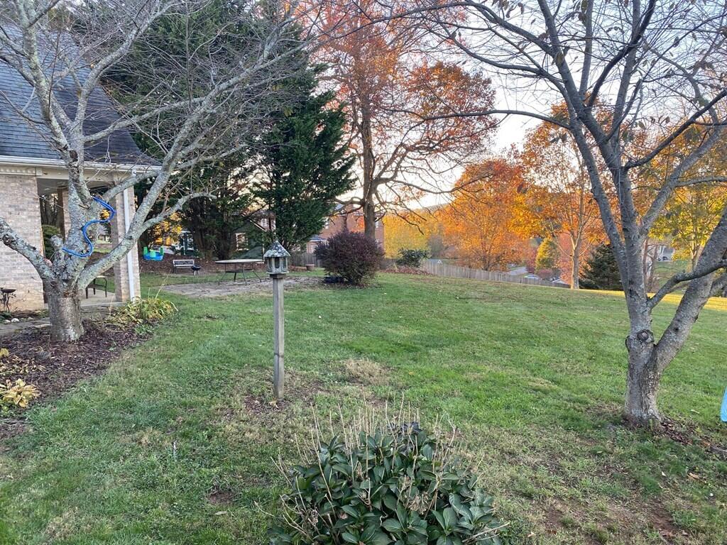 33641 Spring Hill Drive Glade Spring, VA 24340 - Photo 38 of 47 spring h41