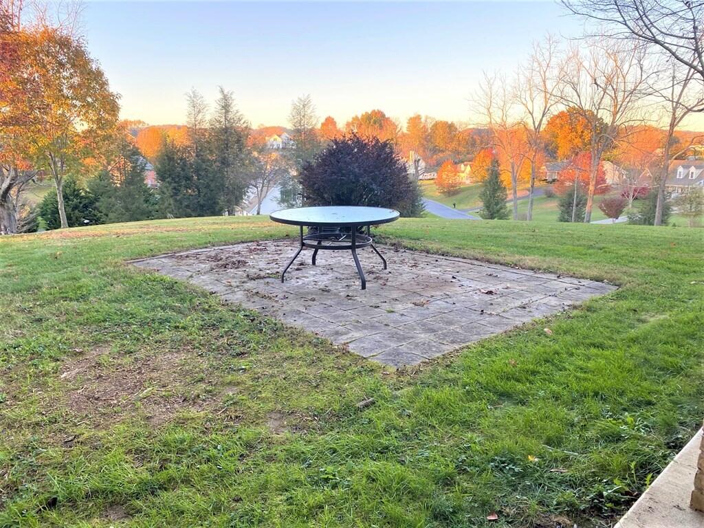 33641 Spring Hill Drive Glade Spring, VA 24340 - Photo 39 of 47 spring h42