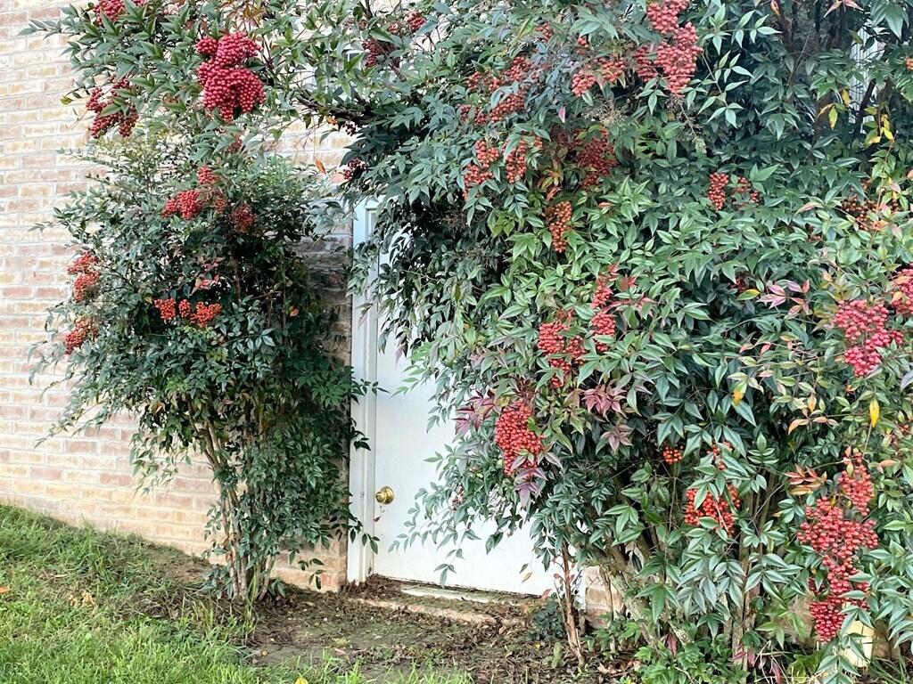 33641 Spring Hill Drive Glade Spring, VA 24340 - Photo 42 of 47 spring h45