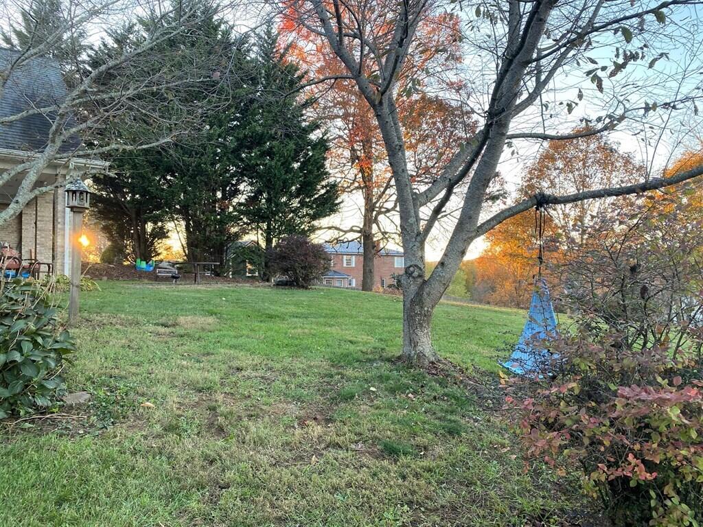 33641 Spring Hill Drive Glade Spring, VA 24340 - Photo 43 of 47 spring h46