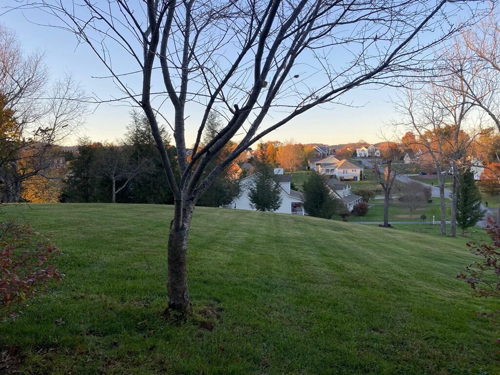 33641 Spring Hill Drive Glade Spring, VA 24340 - Photo 44 of 47 spring h47