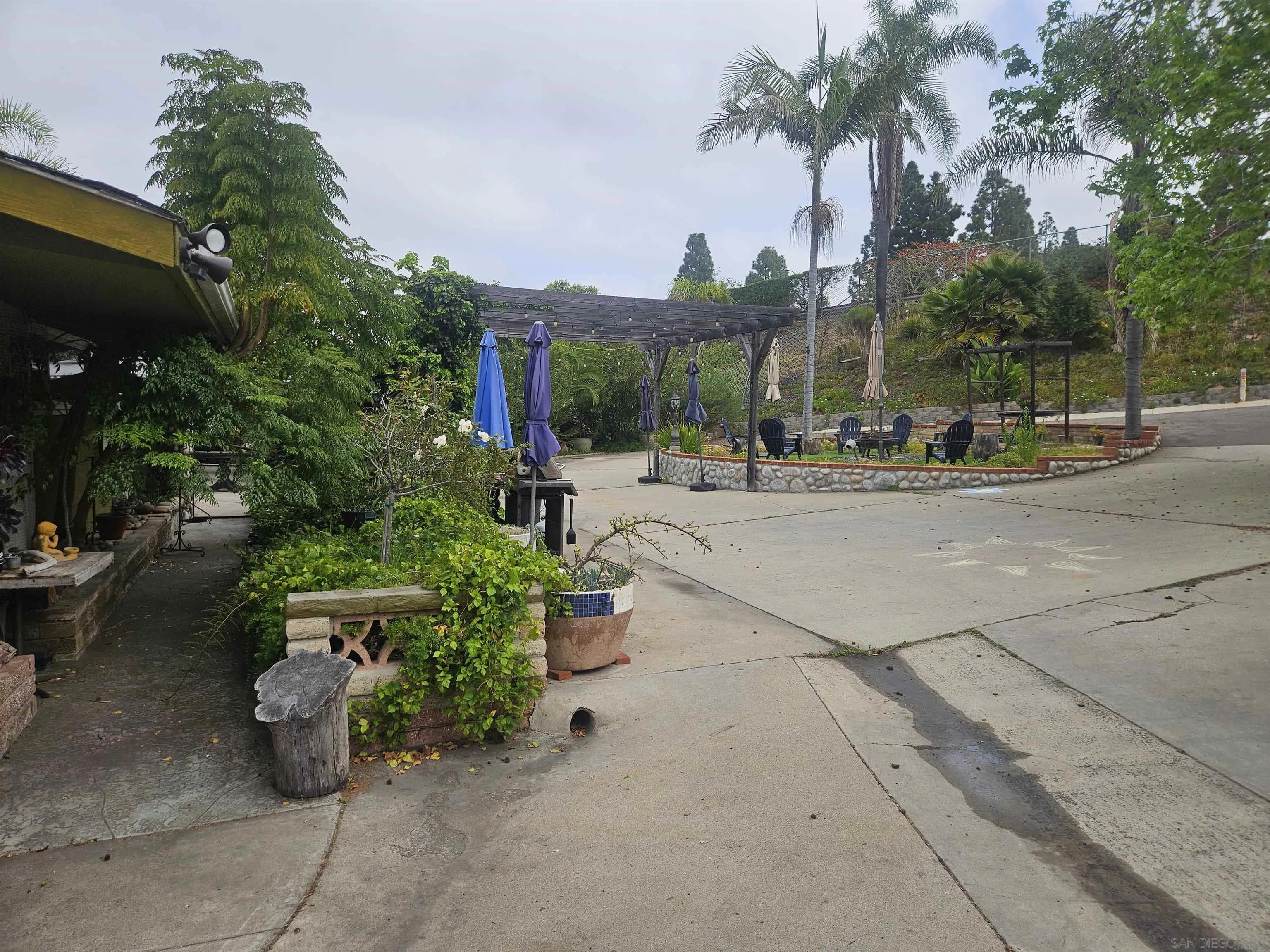 935 Encinitas Boulevard Encinitas, CA 92024 - Photo 11 of 20 a row of palm trees sitting in patio