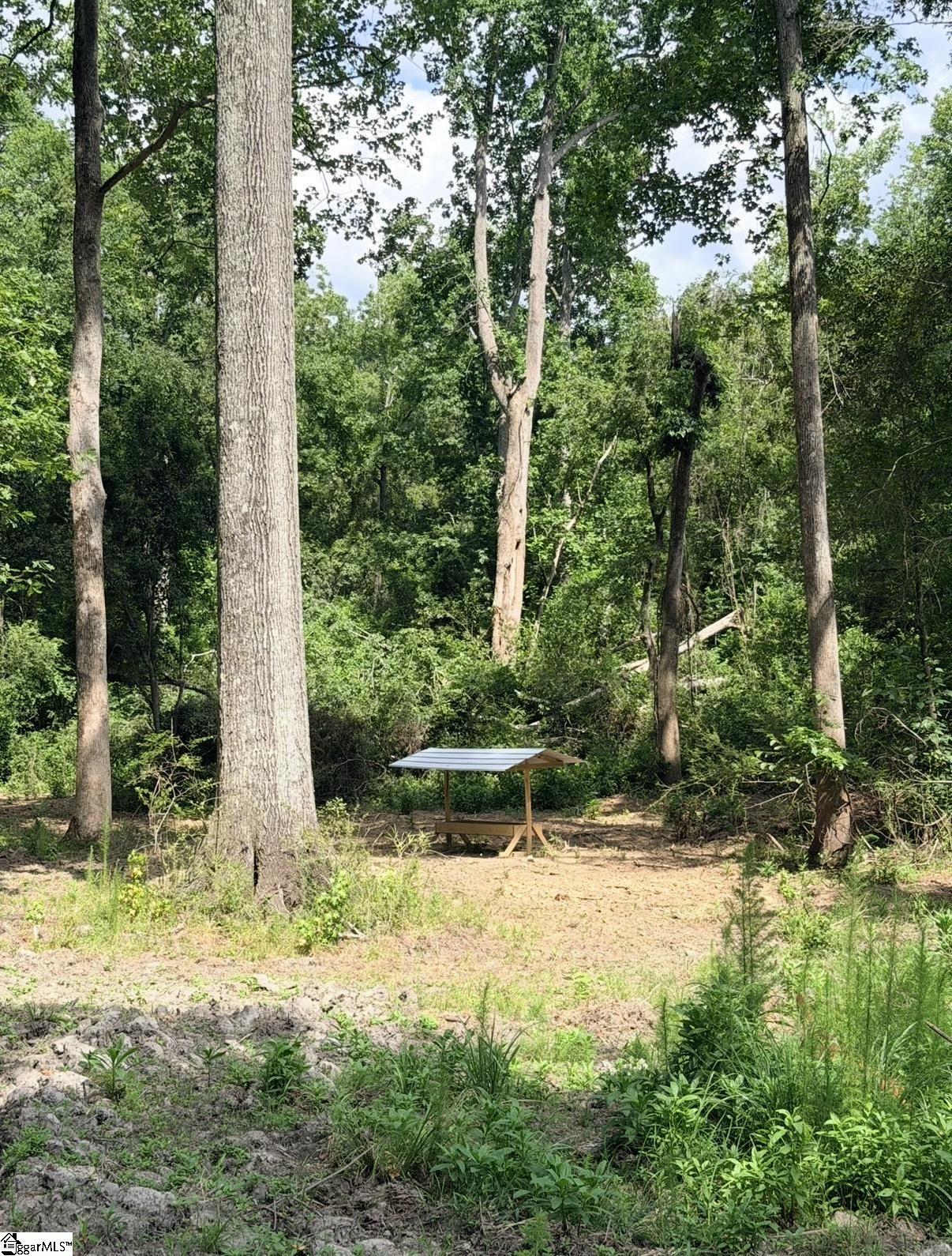 0 Lee Street Johnston, SC 29832 - Photo 10 of 21