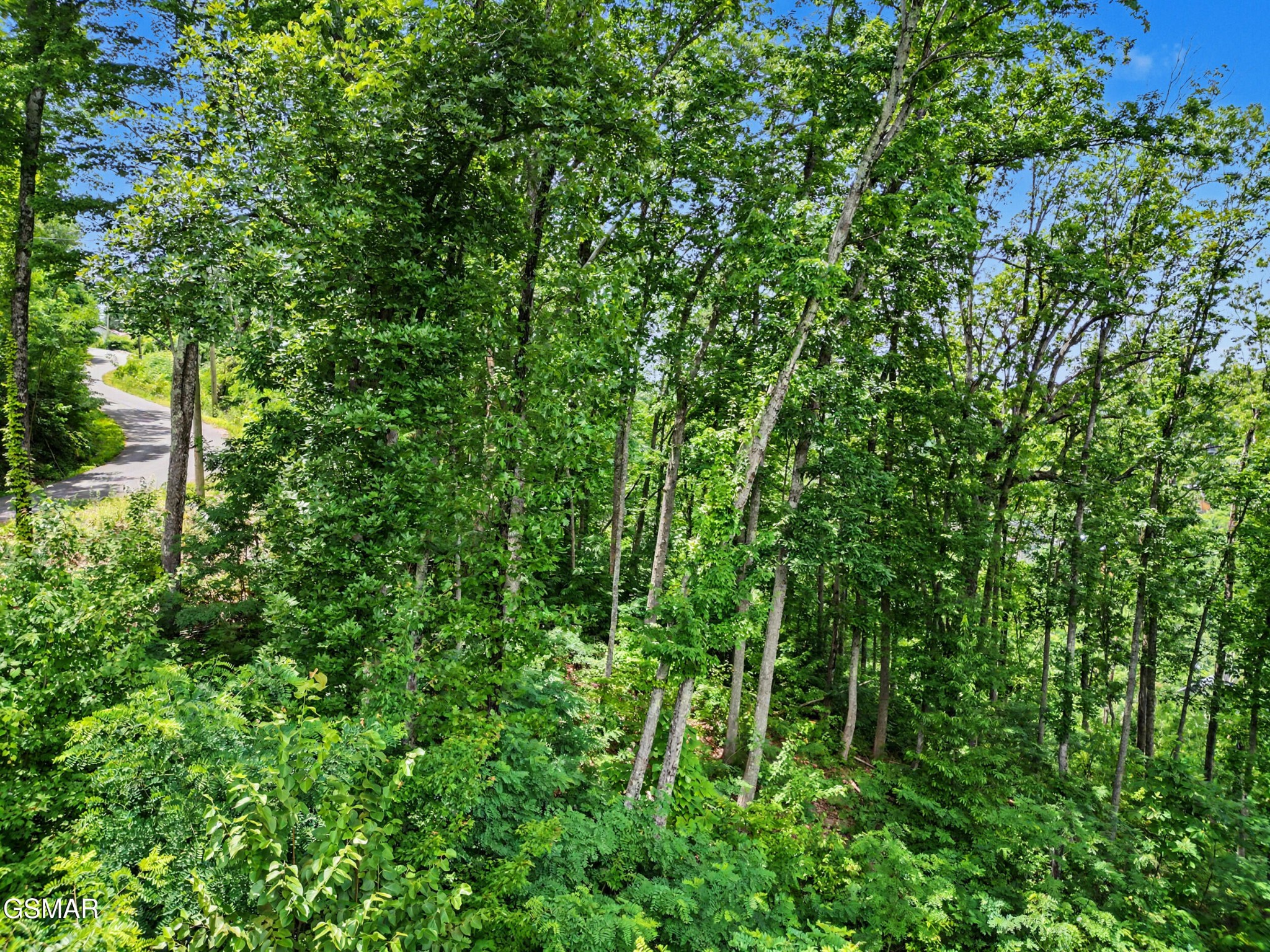 571 Village Loop Road Gatlinburg, TN 37738 - Photo 4 of 19 Gallery Image 4